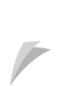 Logotip Trobada Empresarial al Pirineu
